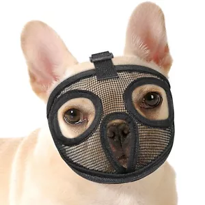 Short Snout Dog Muzzle Adjustable Breathable Mesh Bulldog Muzzle for Biting C... - Picture 1 of 6