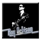Roy Orbison - Roy Orbison Fridge Magnet  Roy on Stage - K500z