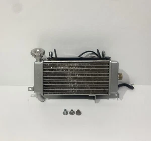 ♻️ Keeway RKF 125 E5 2022 - 2024 Complete Radiator with Fan Cap & Cover ♻️ - Picture 1 of 18