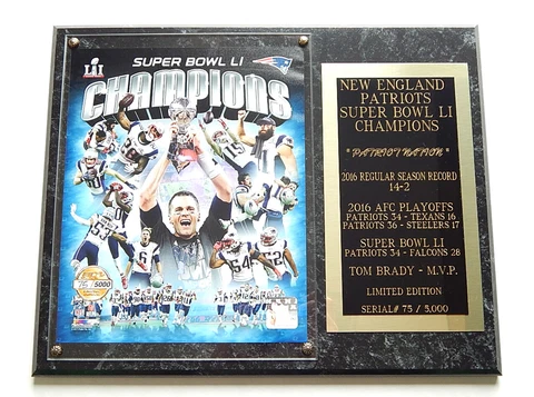 New England Patriots Super Bowl LI Champions Photo Plaque Tom Brady #'d 75/5000 Cover