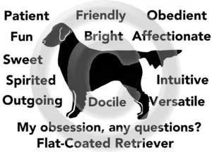 Flat Coated Retriever Dog My Obsession, Any Questions? T-shirt Choices - Picture 1 of 7