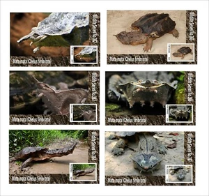 2020 MATA MATA SCHILDKRÖTE 6 BLOCKS UNGEZÄHNT WILDTIERE FAUNA - Bild 1 von 1