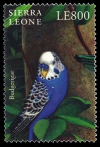 SIERRA LEONE 2272d - Budgerigar "Melopsittacus undulatus" (pb57433) - Picture 1 of 1