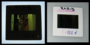 Diapositiva de producción de estudio original David Cronenberg Rabid 35 mm MARILYN CHAMBERS - Imagen 1 de 2