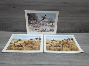 Remington Wildlife Art Collection DER PINSELSTAPEL & Ungarisches Rebhuhn x2. - Bild 1 von 8