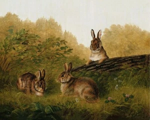 Vintage Hase Kaninchen im Gras Gemälde Reproduktion Druck auf Fine Art Papier - Bild 1 von 1