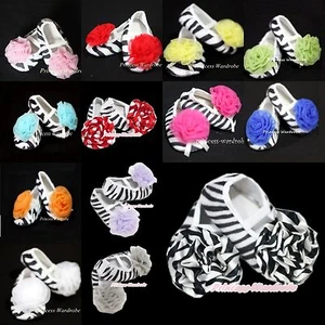 Zebra Print Infant Baby Crib Petti Shoes with Rosettes 4 Pettiskirt Unisex 0-18m - Bild 1 von 29