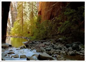Postal Parque Nacional Zion Deep Creek Utah UT 6x4 Virgin River Foto Gary Ladd - Imagen 1 de 2