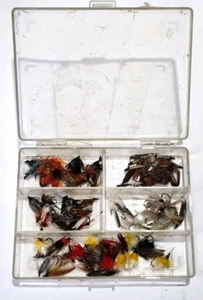 75+ Moscas de pesca con mosca de trucha en caja/estuche vintage de 5 compartimentos \ soporte - Imagen 1 de 9