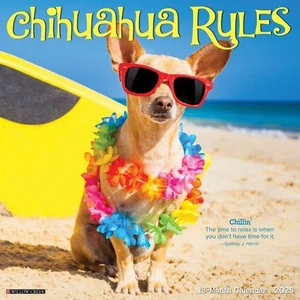, Chihuahua Rules 2025 Wall Calendar - Foto 1 di 4