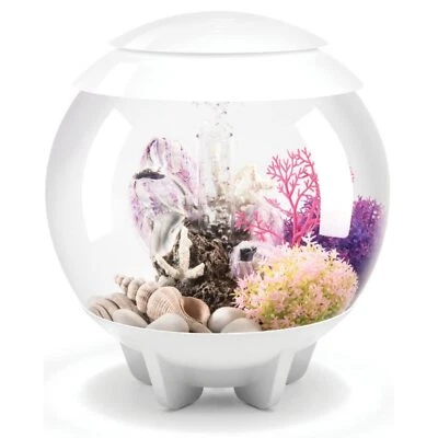 Halo 15 Acrylic 4-Gallon Aquarium with Multi-Color Remote-Controlled LED Ligh... - Image 1 of 4