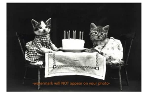 Vintage Kätzchen Katzen Geburtstag Party FOTO Kätzchen Kuchen Katze Party - Bild 1 von 2
