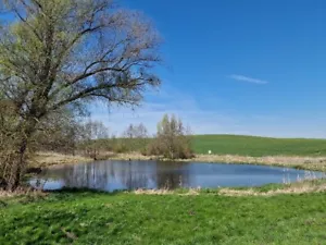 Wunderschönes großes " Wasser - Grundstück " Mecklenburg 1655m² Jetzt Auktion! - Bild 1 von 15