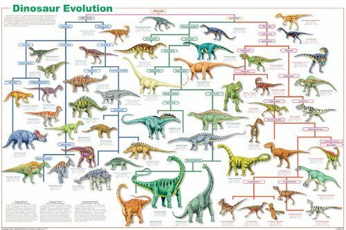 Tarbosaurus Dinosaur Attacking Illustration Dinosaur Poster For Kids Room  Dino Pictures Bedroom Dinosaur Decor Dinosaur Pictures For Wall Dinosaur  Wall Art Print Thick Paper Sign Print Picture 8x12 - Poster Foundry