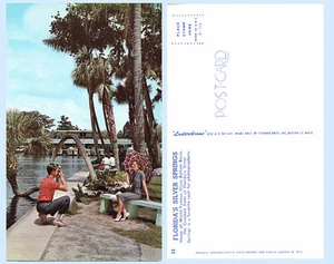Man Camera taking Picture Pretty Girl Silver Springs Florida Postcard Boat Lake - Picture 1 of 1