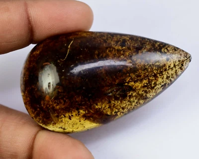 67.50 Ct 100% Natural Yellow Amber Insect Inclusion Certified Loose Gemstone - Image 1 of 4