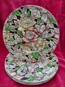 4 Antique Myott Son England Brown BERMUDA Floral Chintz Dinner Plates - Picture 1 of 5
