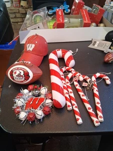 Wisconsin Badgers Rose Bowl 2000 Touchdown Treasures Collectible Ornament LOT - Bild 1 von 7