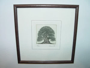 Radierung Baum alt knorrig kraftvoll signiert limitiert EA/50 - Bild 1 von 1