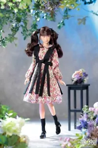 256330 Petworks CCS 25SS Vestido Flor Momoko 27cm Muñeca Niña ~ LISTO PARA ENVIAR ~ - Imagen 1 de 6