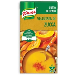 VELLUTATA DI ZUCCA KNORR 500 ML BARATTOLO BRIK CREMA VERDURA GUSTO DELICATO - Imagen 1 de 1