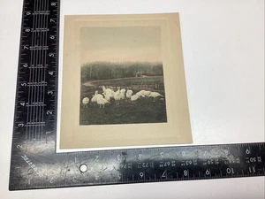 P-1 7 ART PAPER ETCHING PRINT PHOTOGRAVURE FLOCK TURKEYS FARM FENCE LANDSCAPE - Picture 1 of 16