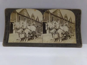 Indiana Stereoview Antique c1930s Percheron Draft Horses Stock Farm Vintage - Picture 1 of 2