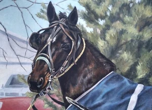 "Mein Pferd" Gemälde ÖL AUF LEINWAND der Künstlerin "Maryanne Wetilauffr" 1994 - Bild 1 von 6