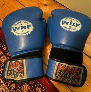 Blue used 16 OZ Made for WBF Champions Gloves - World Boxing Foundation, retro - Picture 1 of 2