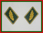 Forst General DDR Forstwirtschaft Kragenspiegel Förster Generalforstmeister