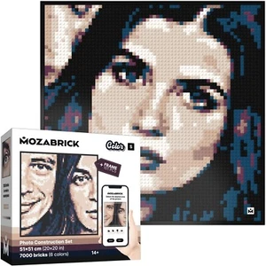 Mozabrick Photo Mosaic Kit Color S – Custom 20"x20" Pixel Art Wall Gift - NIB - Picture 1 of 9