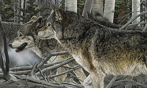Judy Larson KINSHIP, giclee canvas, Wolves #149/150 - Picture 1 of 2