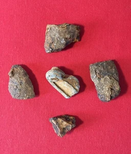 Lot of 5 / Battle of Gettysburg / Civil War / Artillery Shell Fragments / Rare - Picture 1 of 11