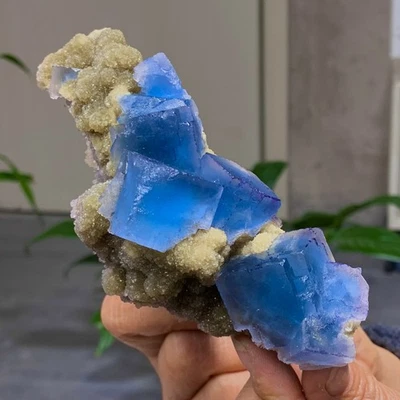 453G Raro Transparente AZUL Cubico Fluorita Mineral Cristal Muestra/China Foto 1 de 4