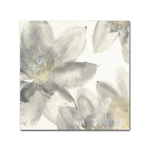 Trademark Fine Art Chris Paschke 'Gray and Silver Flowers I' - Picture 1 of 6