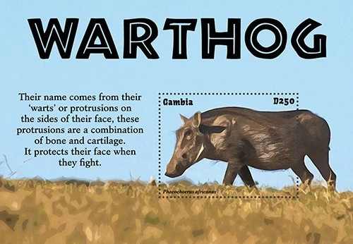 Gambia 2022 - Animales de jabalíes - Hoja de estampillas de recuerdo - Scott #3969 - MNH Foto 1 de 1