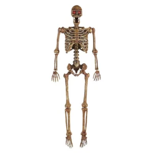 5 ft Poseable Human Size Decayed Skeleton Skull w/LED Eyes Halloween Decor Props - Picture 1 of 6