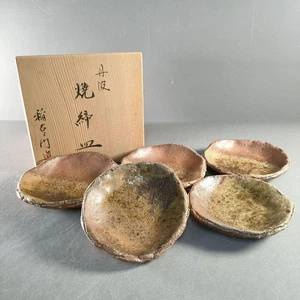 Tanba Inaemon Kiln Yakishime Plates Set of 5 with Wooden Box Japan - Picture 1 of 16