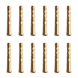 12 piezas Gold Tip Insert latón .246" 100 grano - Imagen 1 de 4