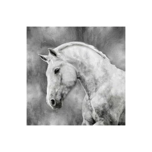 Stampa su Tela su Carta Poster o Quadro Rose Martin White Stallion on Silver - Imagen 1 de 2