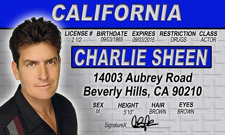 Sprinkle lesson Tuesday Charlie Sheen Drivers License - star of Two and a Half Men Platoon Wall  Street | eBay