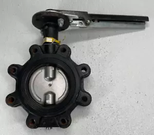 HAMMOND Lug Style Butterfly Valve 4" 200 psi WOG DI Body, SS Disc, EPDM Seat - Picture 1 of 11