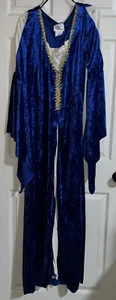Renaissance Costume Adult Medieval Maiden Princess Queen Fancy Dress Blue , Gold - Picture 1 of 8