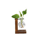 Wooden Stand Glass Flower Vase Hydroponic Hanging Plant Terrarium Container Au