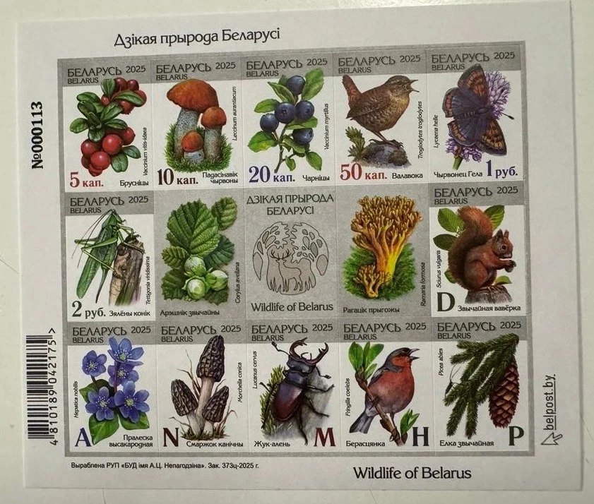 白俄罗斯 2025.Fauna.Flora.Butterfly.Birds.Mushrooms.Flowers.Fruits.SS II 型全新邮票 — 第 1/1 张图片
