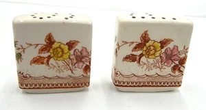 Contenedor/agitador vintage de sal y pimienta Brown & Ritchie Oriental Gardens - Imagen 1 de 6