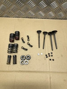 BMW S1000 RR K67 S1000 XR K69 CYLINDER HEAD VALVES SPRINGS ROCKERS SET 2019 On - Picture 1 of 24