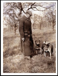 STAFFORDSHIRE BULL TERRIER DOGS AND MAN VINTAGE STYLE DOG PHOTO PRINT POSTER - Picture 1 of 1