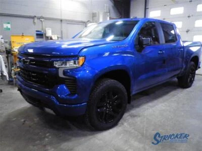 雪佛兰索罗德 1500 2020 - 2023 左遮阳板灰色 84637503 9862 — 第 1/4 张图片