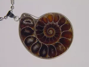 PERO - Plata Amonita Nautiloide Fósil 48 mm Colgante Collar Joyería 6149K - Imagen 1 de 1